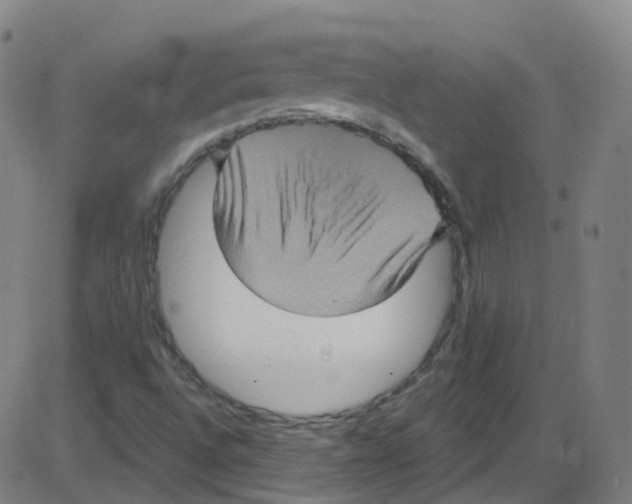 X0000084051496200703161843