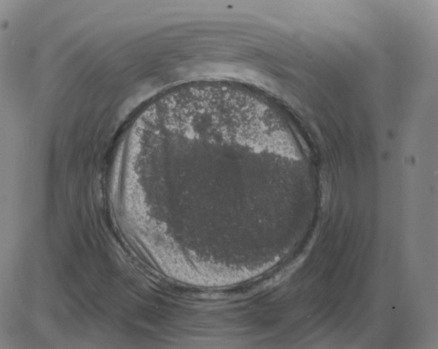 X0000084051497200703161843