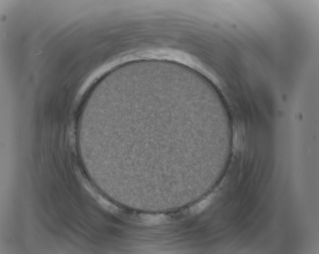 X0000084051498200703161843