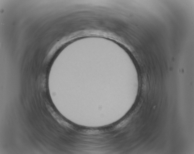 X0000084051499200703161843