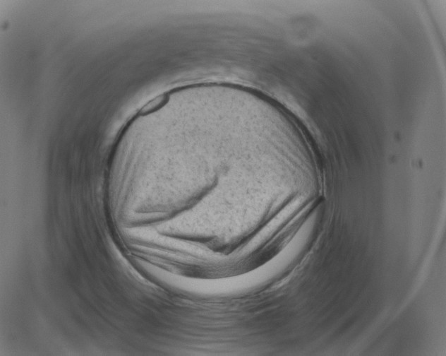 X0000084051500200703161843