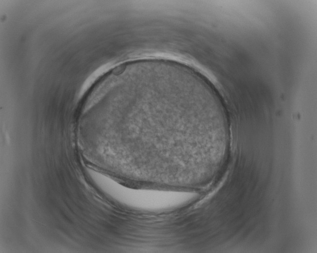 X0000084051501200703161843