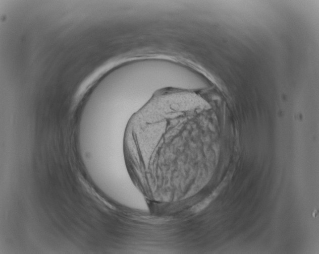 X0000084051502200703161843