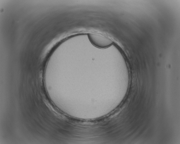 X0000084051503200703161843