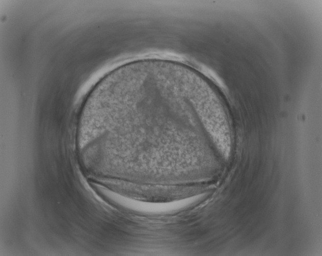 X0000084051504200703161843