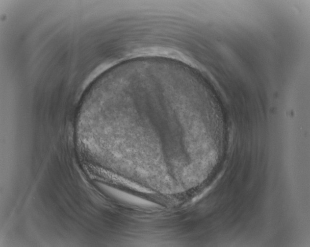 X0000084051505200703161843