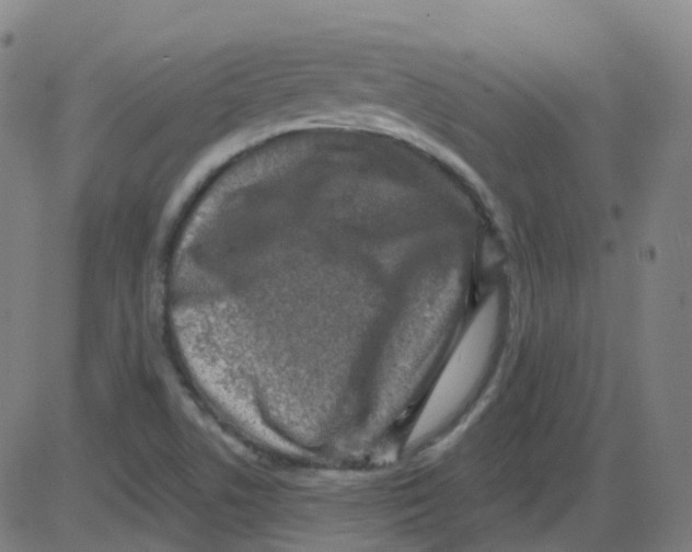 X0000084051506200703161843