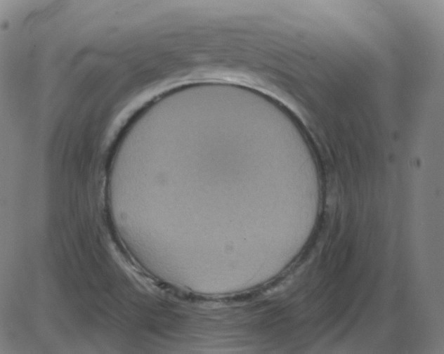 X0000084051507200703161843