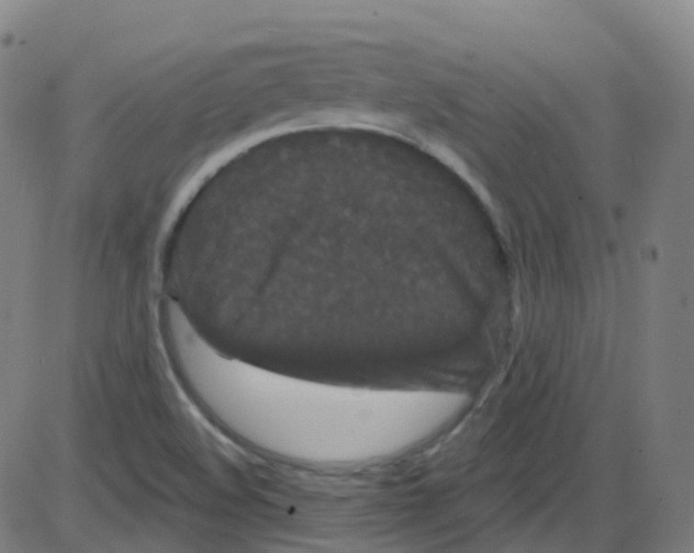 X0000084051508200703161843