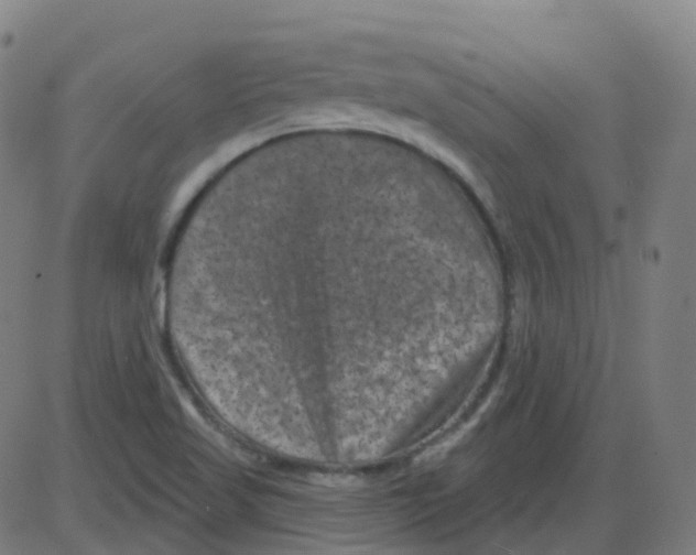 X0000084051509200703161843