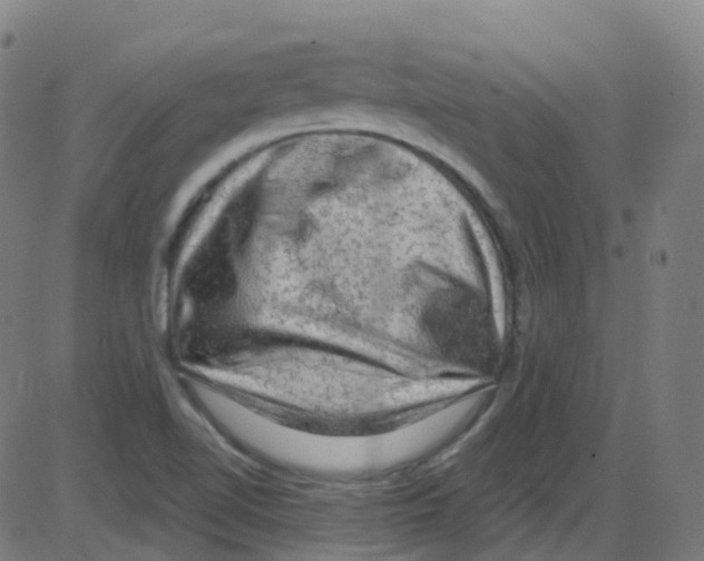 X0000084051510200703161843