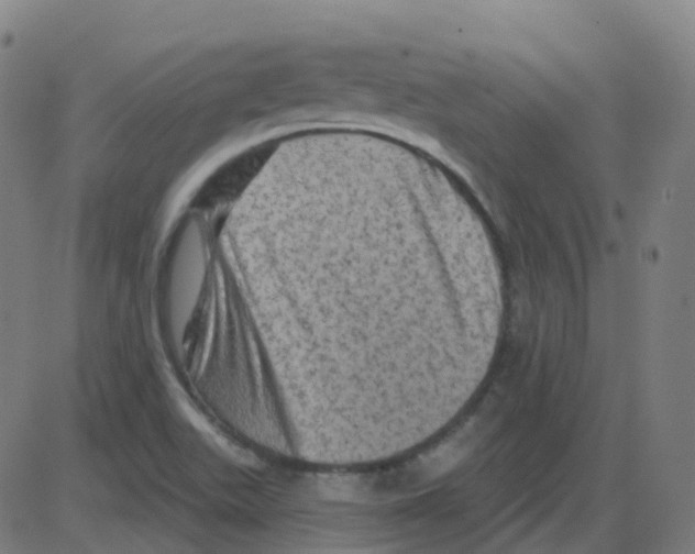 X0000084051511200703161843