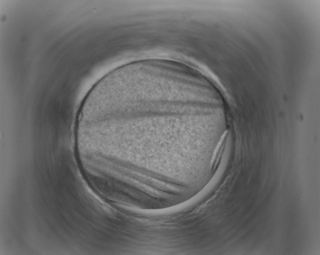 X0000084051512200703161843