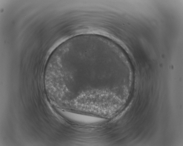 X0000084051513200703161843