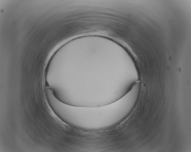 X0000084051516200703161844