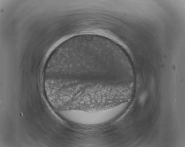 X0000084051517200703161844