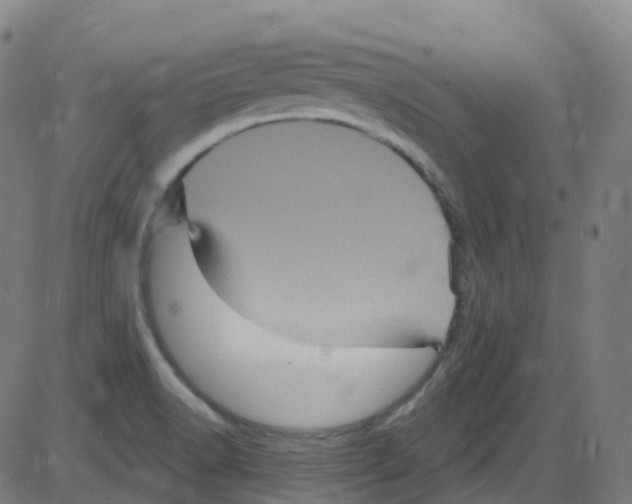 X0000084051518200703161844