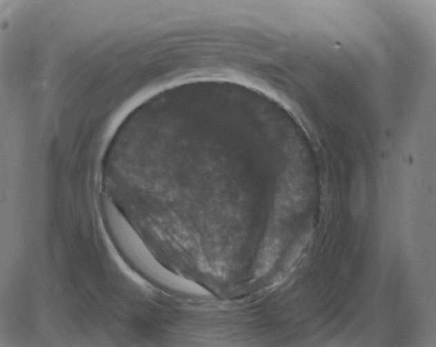 X0000084051519200703161844