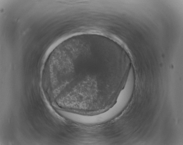 X0000084051520200703161844