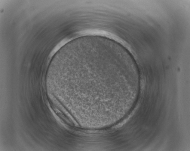 X0000084051521200703161844