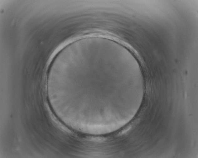 X0000084051522200703161844