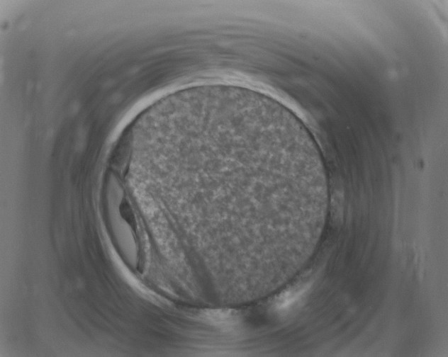 X0000084051523200703161844