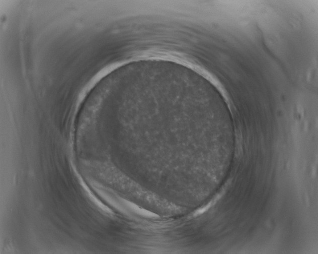 X0000084051525200703161844