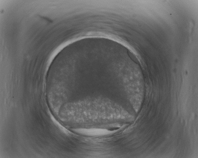 X0000084051527200703161844