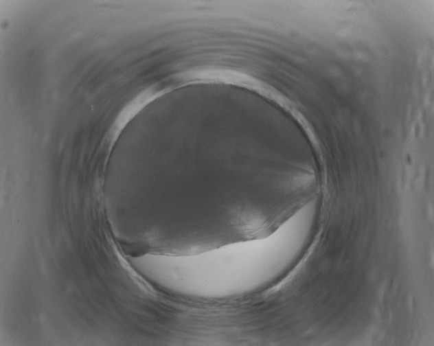 X0000084051529200703161844