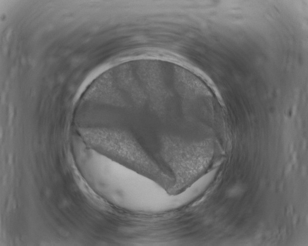 X0000084051530200703161844