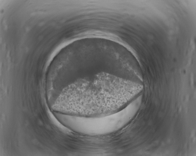 X0000084051531200703161844