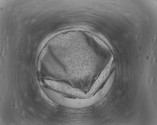 X0000084051532200703161844