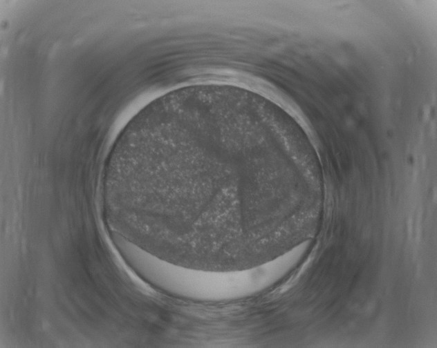 X0000084051533200703161844