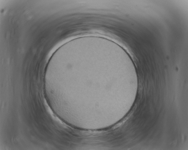 X0000084051534200703161844