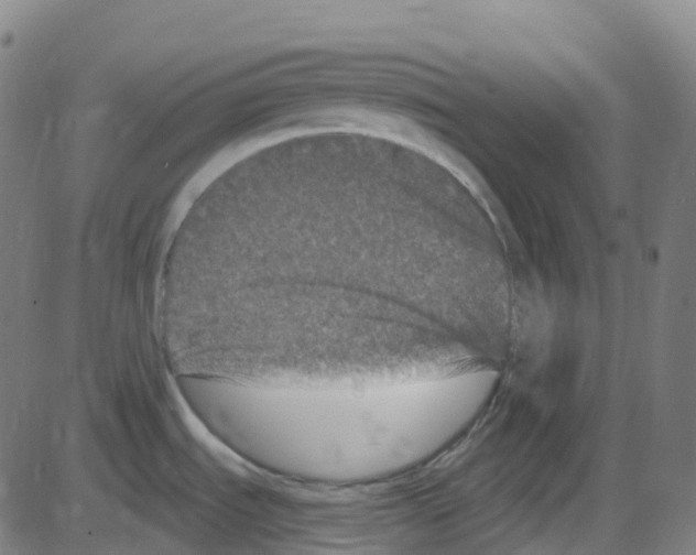 X0000084051535200703161844