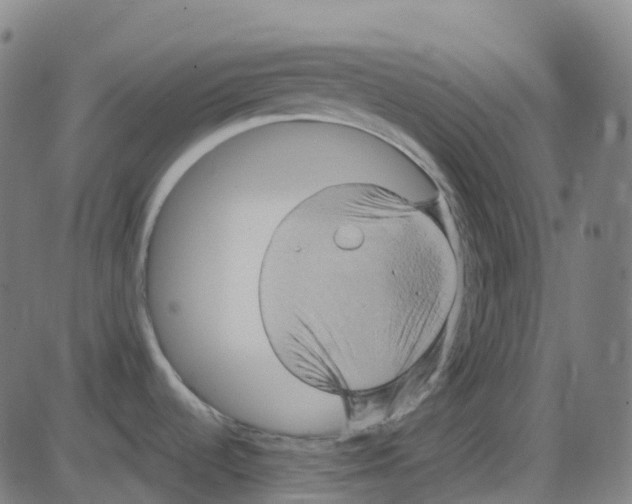 X0000084051536200703161844