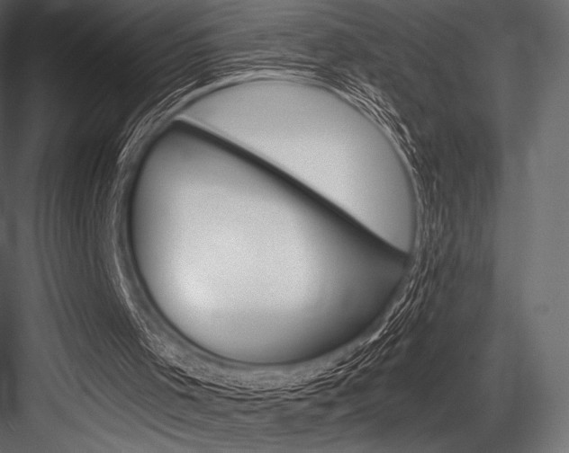 X0000084520001200702230850