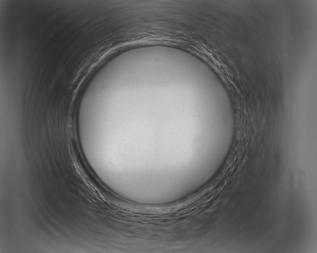 X0000084520002200702230850