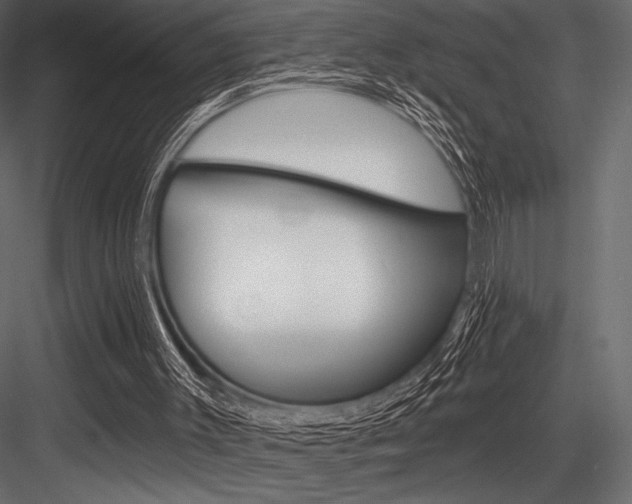 X0000084520003200702230850