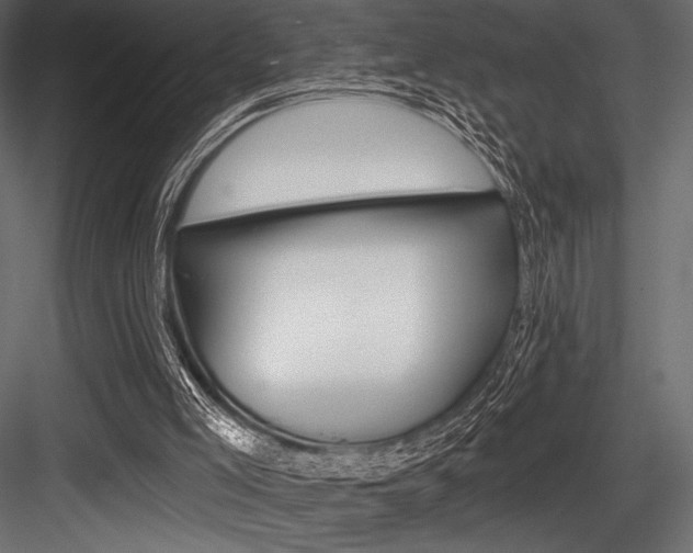 X0000084520005200702230850