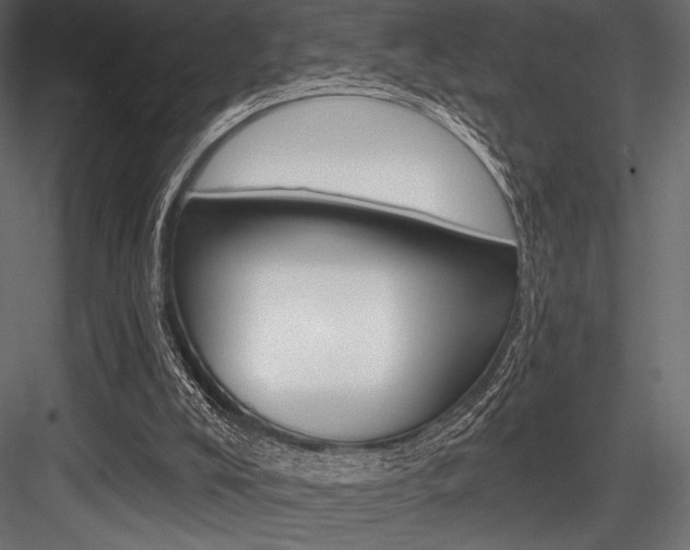 X0000084520008200702230850