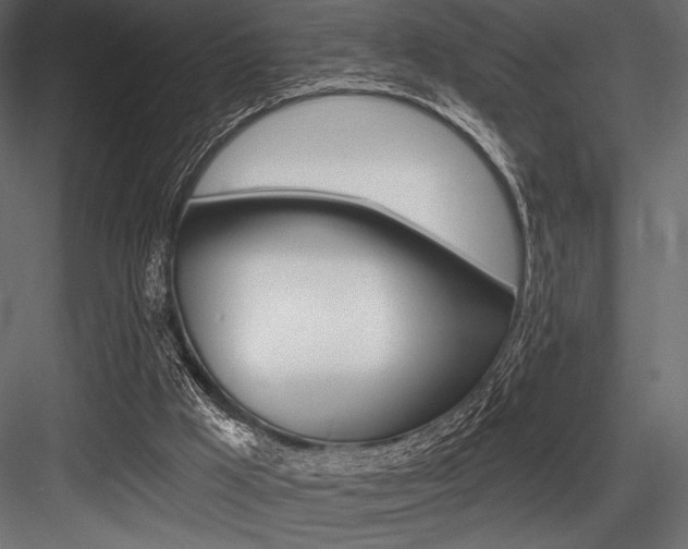 X0000084520009200702230850