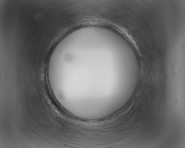 X0000084520010200702230850