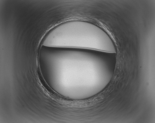 X0000084520011200702230850