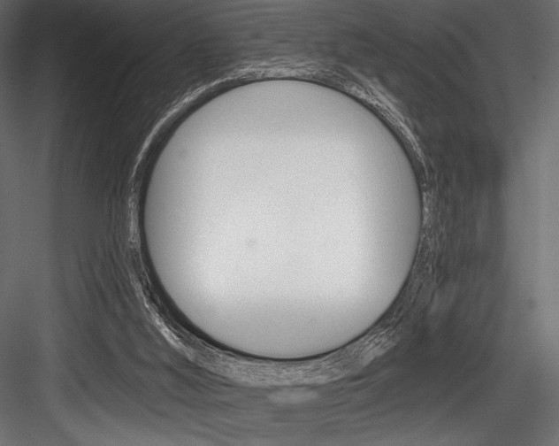 X0000084520012200702230850