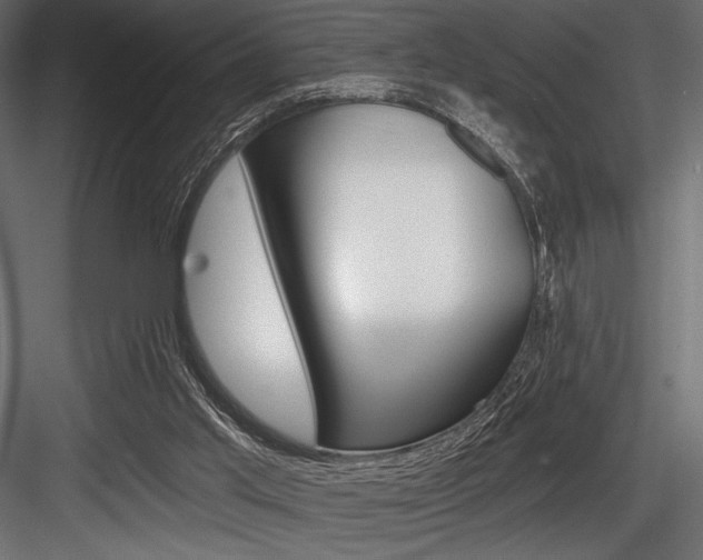 X0000084520013200702230850