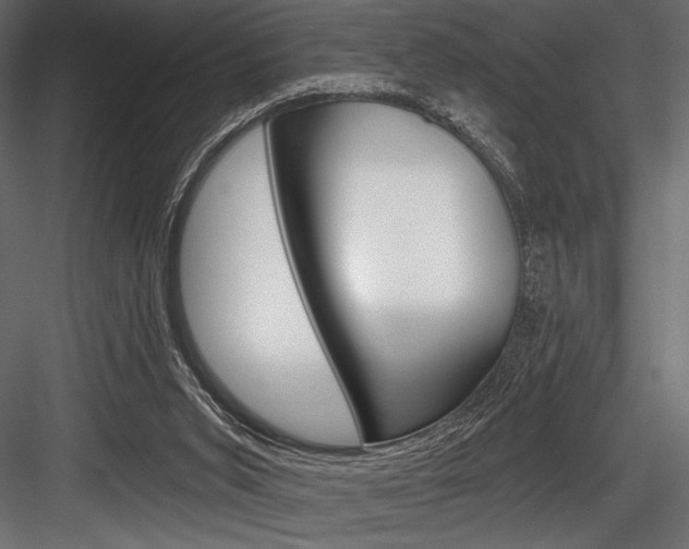 X0000084520015200702230850