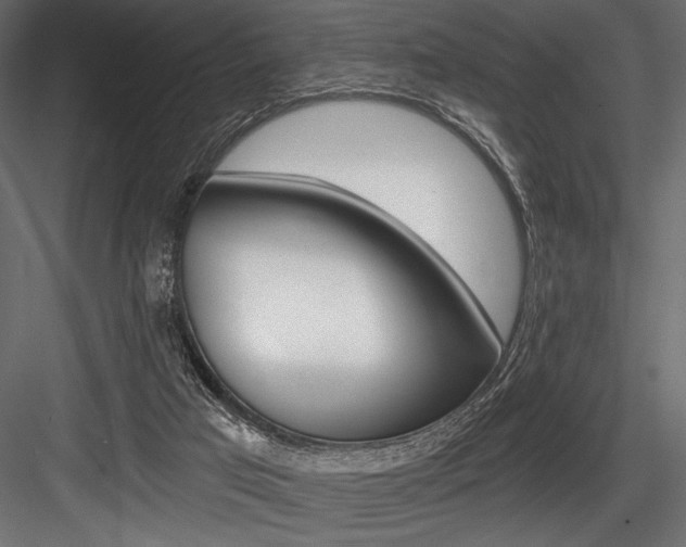 X0000084520017200702230850