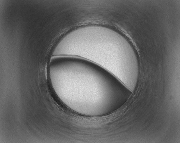 X0000084520019200702230850