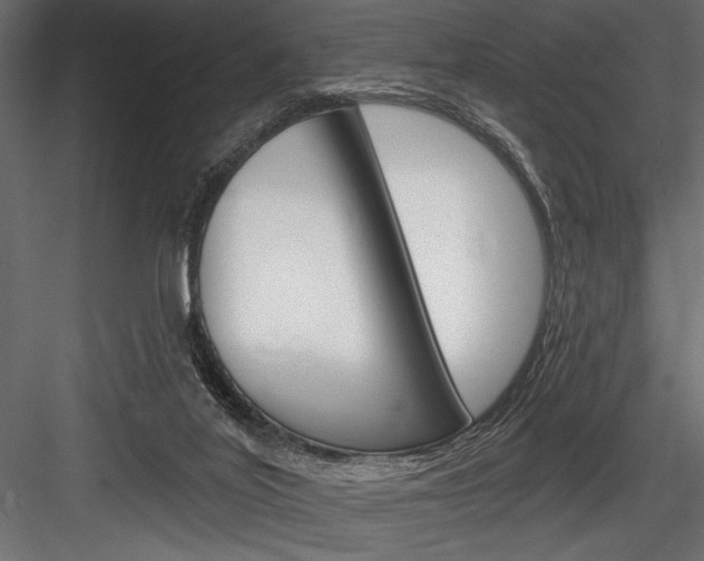 X0000084520020200702230850